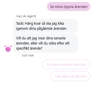Visa öppna ärenden i botten